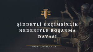 ŞİDDETLİ GEÇİMSİZLİK NEDENİYLE BOŞANMA DAVASI